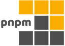 PNPM logo